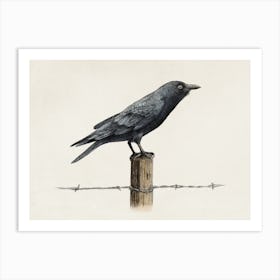 Country Crow Art Print
