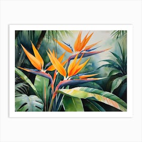 Strelitzia Flowers Art Print