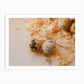 Quail Eggs Art Print