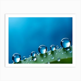 Waterdrops On Plants 11 Art Print