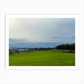 Dog In A Field Art Print