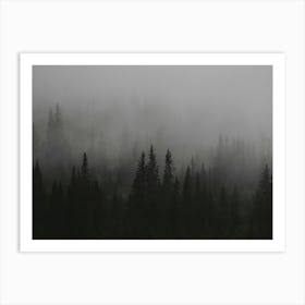 Foggy Forest Art Print