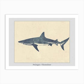Pelagic Thresher Shark Grey Silhouette 1 Poster Art Print
