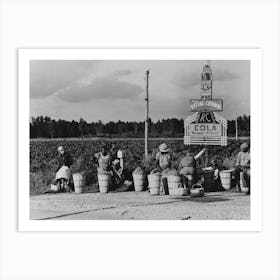 String Bean Pickers Waiting Along Highway For Trucks To Pick Them Up Near Gibson, Louisiana By Russell Lee Art Print