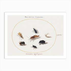 Seven Insects, Including A White Butterfly And A Bee, Joris Hoefnagel Art Print