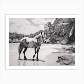 A Horse Oil Painting In Anse Lazio, Seychelles, Landscape 1 Art Print