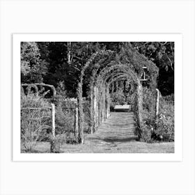 Garden Bench BW Art Print