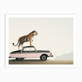 Tiger And The Car Art Print