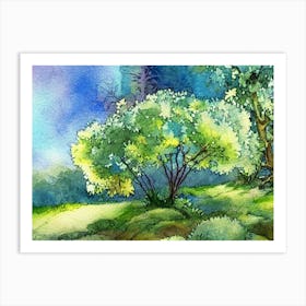 Watercolor Of Trees 1 Art Print