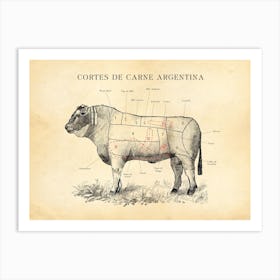 Argentinian Beef Cuts Chart Art Print