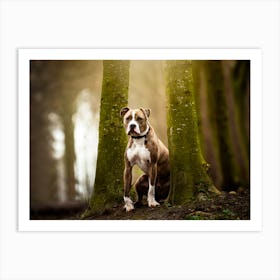 Stafford in between the trees - Gavers Belgium dog photo print - moody animal photography art Art Print