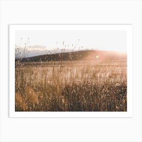 Western Adventure - Prairie Love Art Print