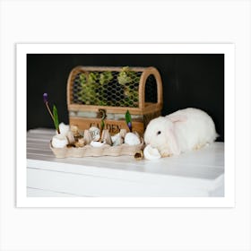 Easter Bunny 13 Art Print