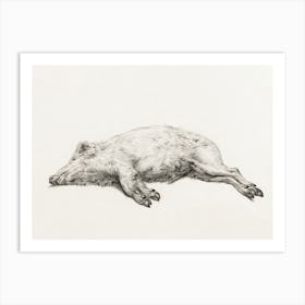 Lying Pig 3, Jean Bernard Art Print