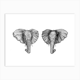 Elephant Mirror Art Print