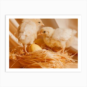 Chickens In A Nest Art Print