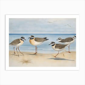 Gulls On The Beach Art Print