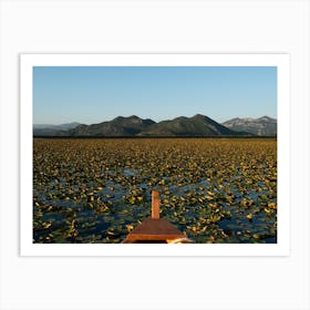 Lilly Lake With Mountain Views Art Print