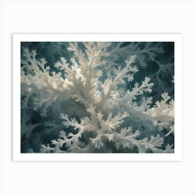 Macro Photography Of Delicate, White, Fern Like Leaves With Intricate Details And Textures Against A Dark Background Art Print