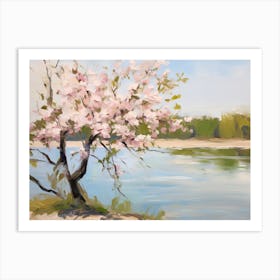 Blossoming Cherry Tree Art Print