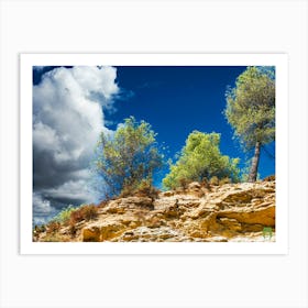 Trees On A Rocky Hillside 20230831125616rt2pub Art Print