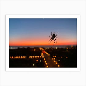 Spider At Dusk In Chicago 1 Art Print