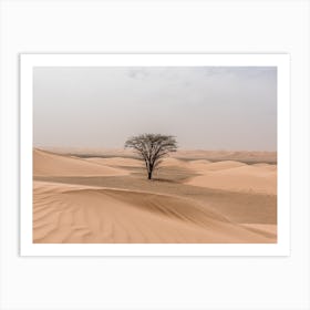 Sahara Desert With Tree Art Print