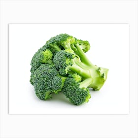 Close Up Of Broccoli Art Print