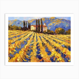 Vineyards In California Art Print