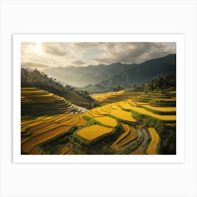 Sunset over the Rice Fields Art Print