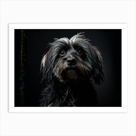 Portrait Of A Dog 8 Art Print