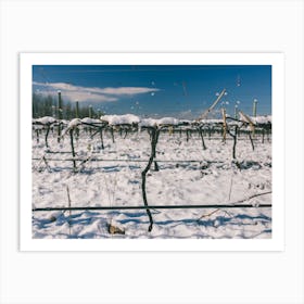 Unitltled 10 - Snow in the Vineyard Series Art Print