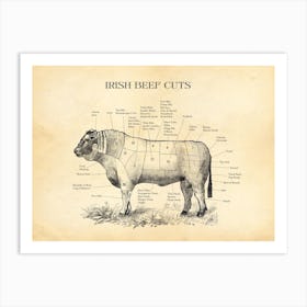 Irish Beef Cuts Butcher Chart Art Print