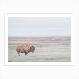 Bison On Landscape Art Print
