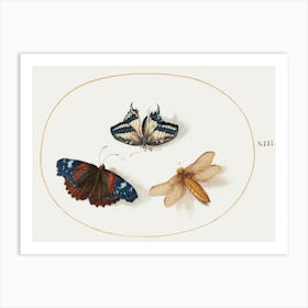 Yellow Swallowtail And Red Admiral Butterflies With A Dragonfly, Joris Hoefnagel Art Print