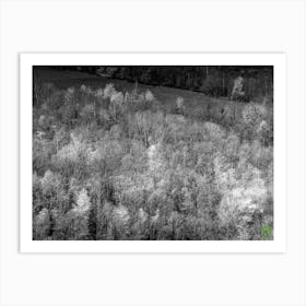 Black And White forest 20230416110474rt1pub Art Print