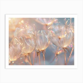 Dandelion Flowers Art Print