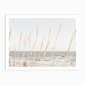 Beach Reeds_2192487 Art Print