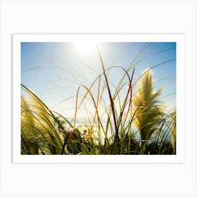 Vegetation In The Sun 1 Art Print