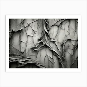 Peeling Bark Art Print