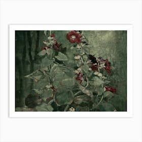 Hollyhocks 1 Art Print