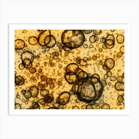 Abstract Alcohol Ink Gold Art Print