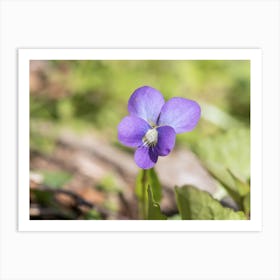 Wild Purple Violet Art Print