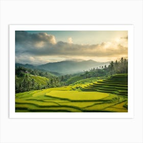 Rice Terraces In Bali 1 Art Print