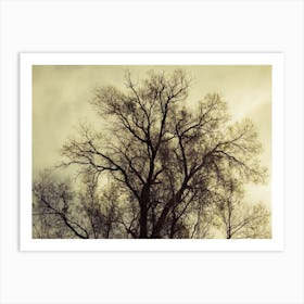 Silhouette Of Bare Tree Yellow Tone 1 Art Print