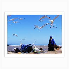 Seagulls On The Beach Art Print