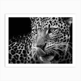 Leopard Close Up Art Print