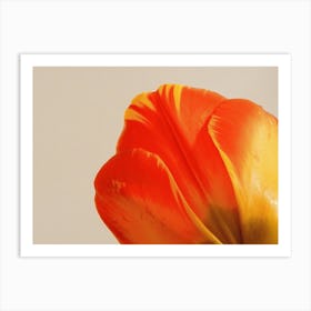 Tulip Form 2 Art Print