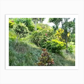 Garden 6 By Binod Dawadi Art Print