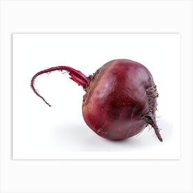 Beetroot isolated on white background. 5 Art Print